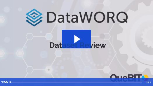 Dataset Review
