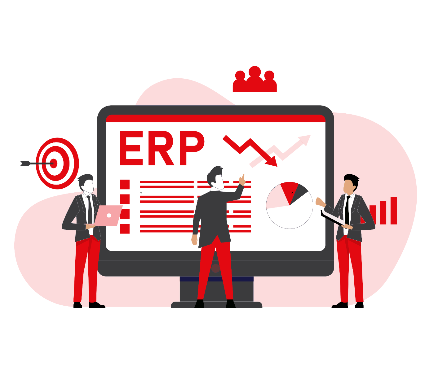 erp-monitor-team